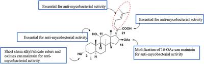 Bioactivities and Structure–Activity Relationships of Fusidic Acid Derivatives: A Review